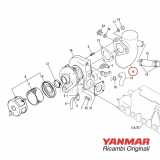 Scarico a gomito 129673-13552 Yanmar 4JH/3/4 Esploso