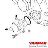 Oring pompa raffreddamento Yanmar 1GM10 dis