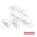 Piatto X0145050 per pompa AM Yanmar GM YM