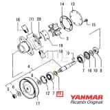 Anello di arresto anteriore (Circlip) Yanmar 2GM20F