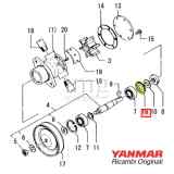 Fermo pompa Yanmar 2GM20F