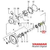 Distanziale pompa Yanmar 2GM20F